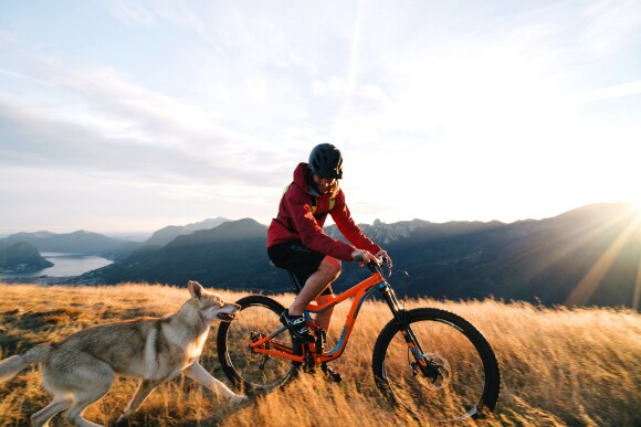 best-performing-super-funds-australia-australiansuper