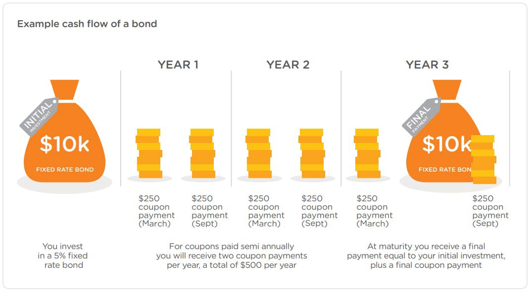 In this example an investor purchased a 5% $10,000 fixed rate bond. Throughout the lifetime of the investment, they received twice-yearly coupon interest payments of $250. At maturity, they then received the $10,000 principal back. In this example an investor purchased a 5% $10,000 fixed rate bond. Throughout the lifetime of the investment, they received twice-yearly coupon interest payments of $250. At maturity, they then received the $10,000 principal back.